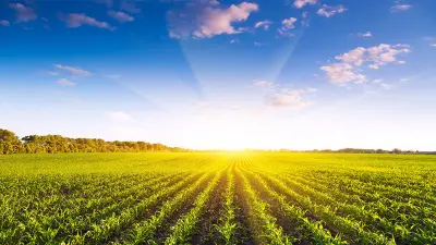 futuro de la agricultura